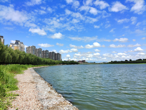 中国环境科学研究院阳平坚：“三个前所未有”，让天更蓝、山更绿、水更清